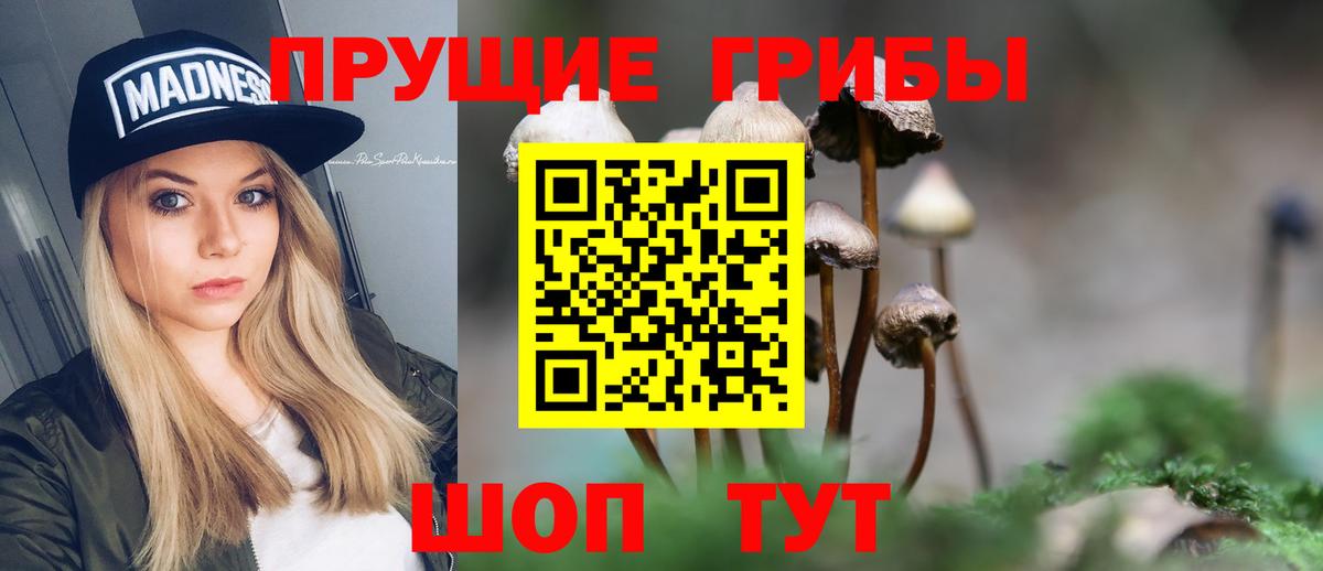 Удомля  Псилоцибиновые грибы GOLDEN TEACHER  Псилоцибиновые грибы Psilocybe  Вход с VPN 
